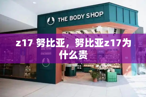 z17 努比亚，努比亚z17为什么贵