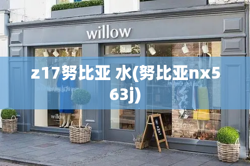 z17努比亚 水(努比亚nx563j)