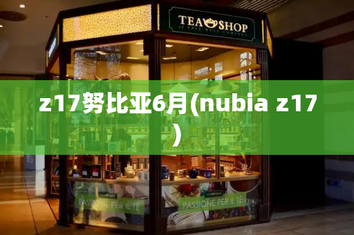 z17努比亚6月(nubia z17)