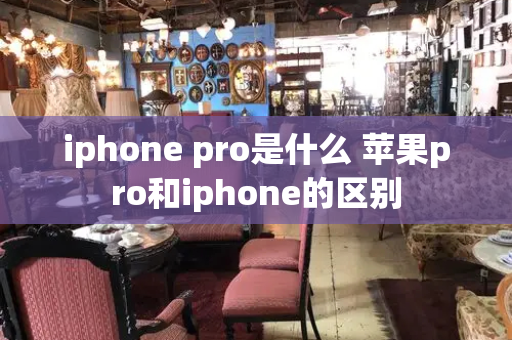 iphone pro是什么 苹果pro和iphone的区别