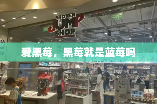 爱黑莓，黑莓就是蓝莓吗-第1张图片-星选测评