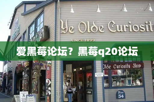 爱黑莓论坛？黑莓q20论坛-第1张图片-星选测评