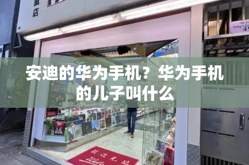 安迪的华为手机？华为手机的儿子叫什么-第1张图片-星选测评