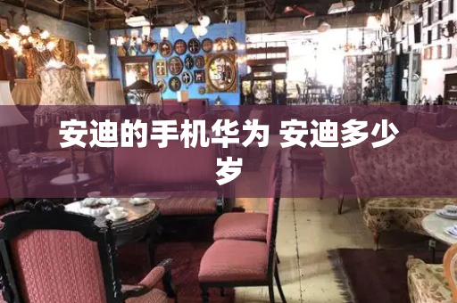 安迪的手机华为 安迪多少岁