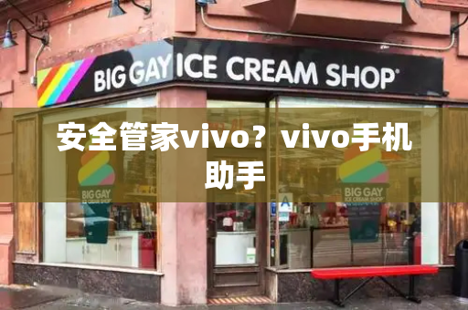 安全管家vivo？vivo手机助手-第1张图片-星选测评