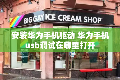 安装华为手机驱动 华为手机usb调试在哪里打开-第1张图片-星选测评