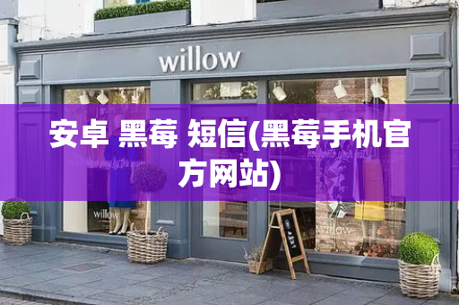 安卓 黑莓 短信(黑莓手机官方网站)-第1张图片-星选测评