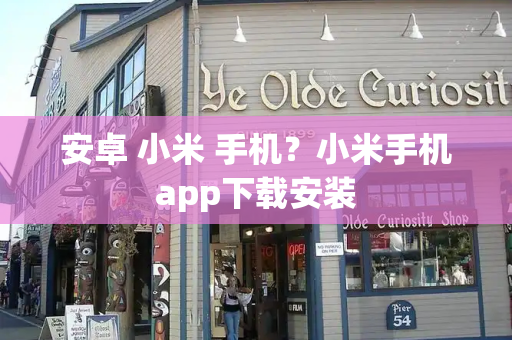 安卓 小米 手机？小米手机app下载安装-第1张图片-星选测评
