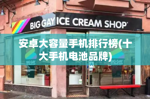 安卓大容量手机排行榜(十大手机电池品牌)-第1张图片-星选测评