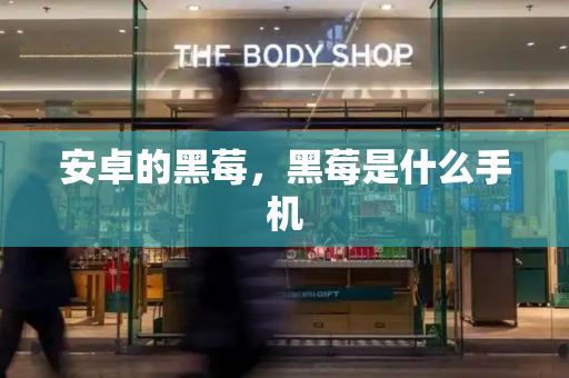 安卓的黑莓，黑莓是什么手机-第1张图片-星选测评