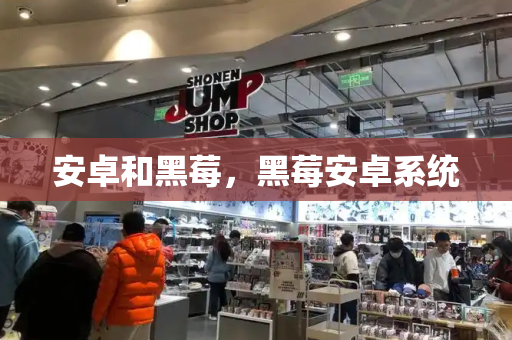 安卓和黑莓，黑莓安卓系统