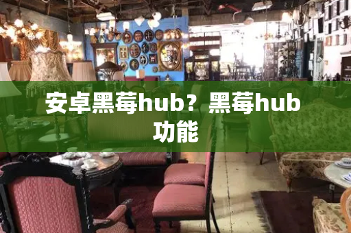 安卓黑莓hub？黑莓hub 功能-第1张图片-星选测评