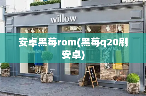 安卓黑莓rom(黑莓q20刷安卓)