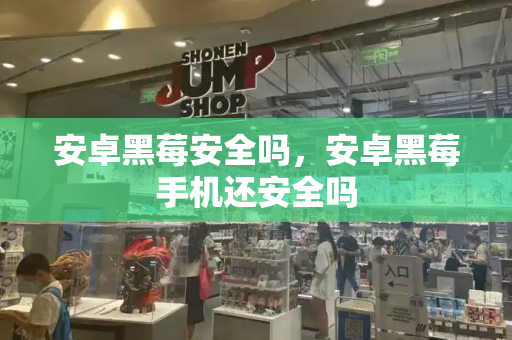 安卓黑莓安全吗，安卓黑莓手机还安全吗-第1张图片-星选测评