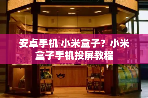 安卓手机 小米盒子？小米盒子手机投屏教程-第1张图片-星选测评