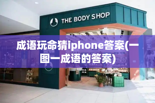 成语玩命猜iphone答案(一图一成语的答案)