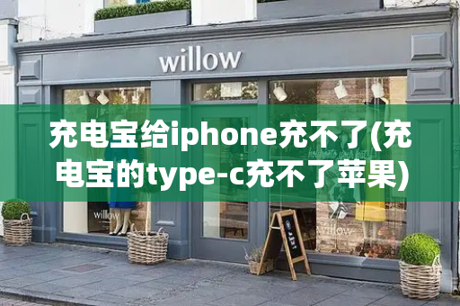 充电宝给iphone充不了(充电宝的type-c充不了苹果)-第1张图片-星选测评