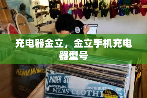 充电器金立，金立手机充电器型号