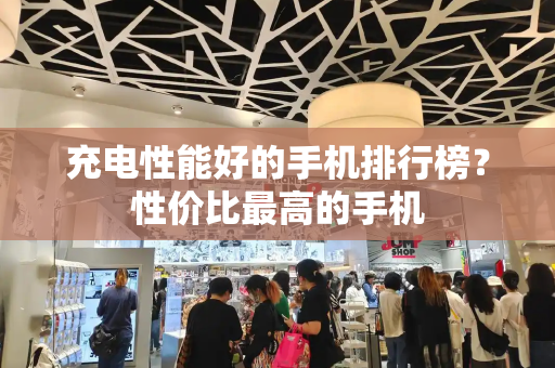 充电性能好的手机排行榜？性价比最高的手机