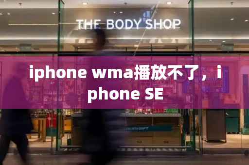 iphone wma播放不了，iphone SE