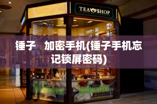 锤子   加密手机(锤子手机忘记锁屏密码)