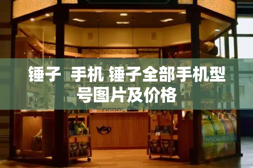 锤子  手机 锤子全部手机型号图片及价格-第1张图片-星选测评
