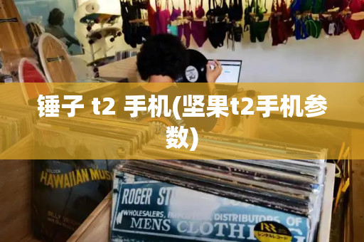 锤子 t2 手机(坚果t2手机参数)-第1张图片-星选测评