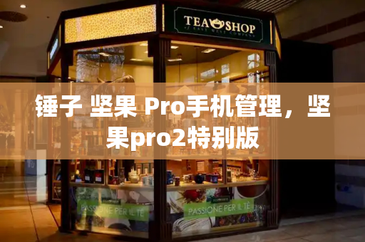 锤子 坚果 Pro手机管理，坚果pro2特别版