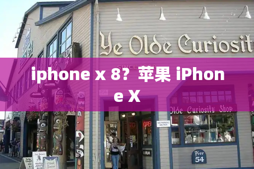 iphone x 8？苹果 iPhone X-第1张图片-星选测评