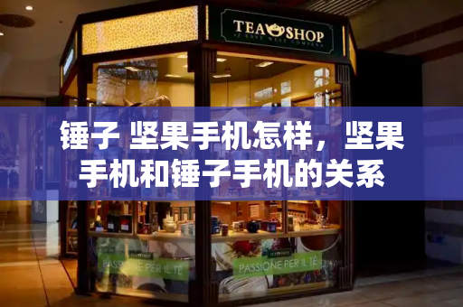 锤子 坚果手机怎样，坚果手机和锤子手机的关系
