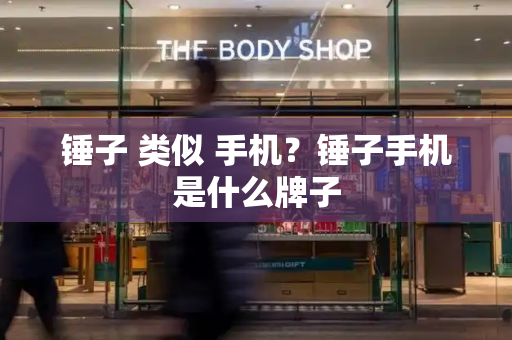 锤子 类似 手机？锤子手机是什么牌子-第1张图片-星选测评