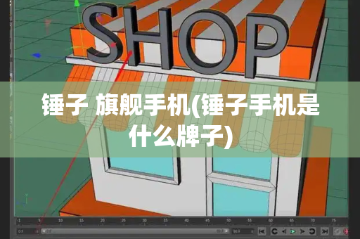锤子 旗舰手机(锤子手机是什么牌子)