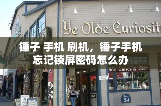 锤子 手机 刷机，锤子手机忘记锁屏密码怎么办