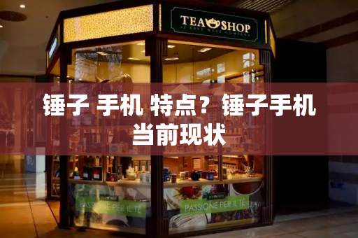 锤子 手机 特点？锤子手机当前现状-第1张图片-星选测评