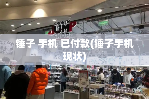 锤子 手机 已付款(锤子手机现状)-第1张图片-星选测评