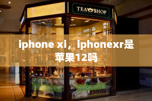 iphone xi，iphonexr是苹果12吗