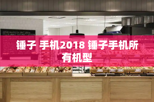 锤子 手机2018 锤子手机所有机型