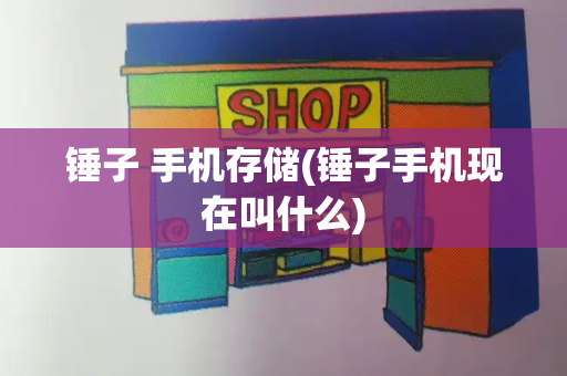 锤子 手机存储(锤子手机现在叫什么)-第1张图片-星选测评