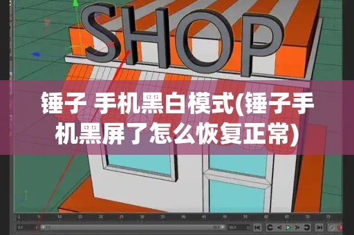 锤子 手机黑白模式(锤子手机黑屏了怎么恢复正常)