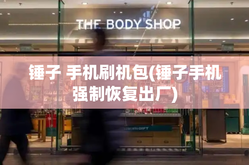 锤子 手机刷机包(锤子手机强制恢复出厂)-第1张图片-星选测评