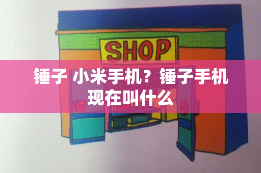 锤子 小米手机？锤子手机现在叫什么-第1张图片-星选测评