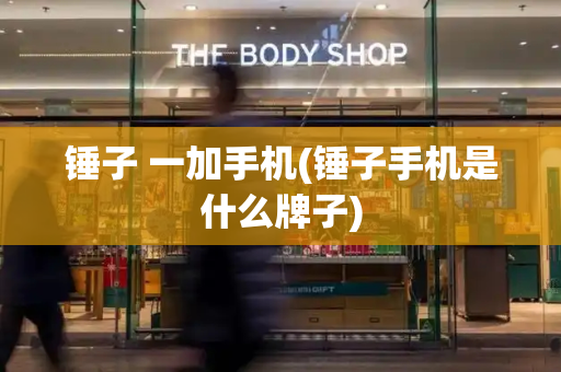 锤子 一加手机(锤子手机是什么牌子)-第1张图片-星选测评