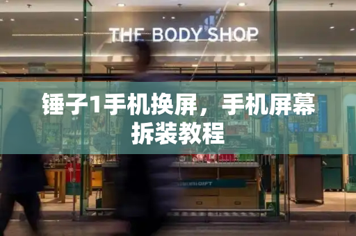 锤子1手机换屏，手机屏幕拆装教程-第1张图片-星选测评
