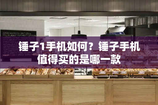 锤子1手机如何？锤子手机值得买的是哪一款-第1张图片-星选测评