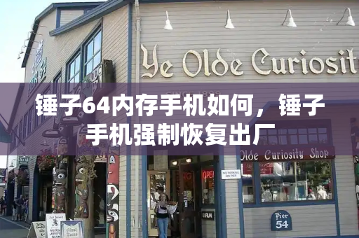 锤子64内存手机如何，锤子手机强制恢复出厂-第1张图片-星选测评