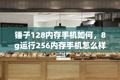 锤子128内存手机如何，8g运行256内存手机怎么样-第1张图片-星选测评