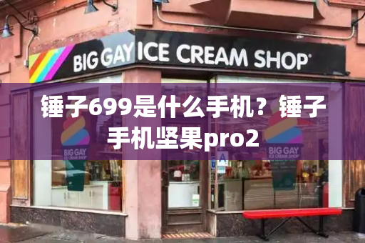 锤子699是什么手机？锤子手机坚果pro2