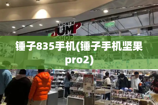 锤子835手机(锤子手机坚果pro2)
