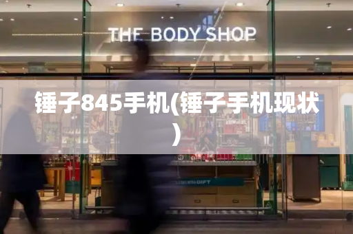 锤子845手机(锤子手机现状)-第1张图片-星选测评