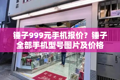 锤子999元手机报价？锤子全部手机型号图片及价格-第1张图片-星选测评